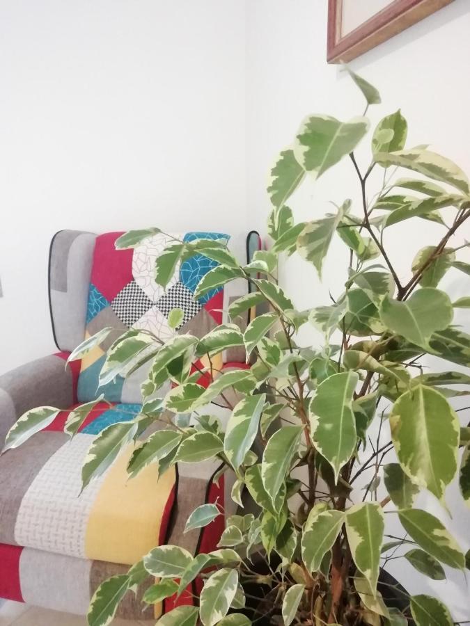 הוילה קומאקיו Casa Bellini מראה חיצוני תמונה